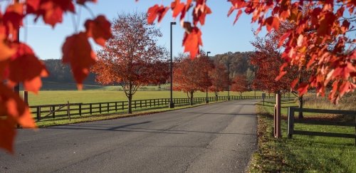 fall at rio